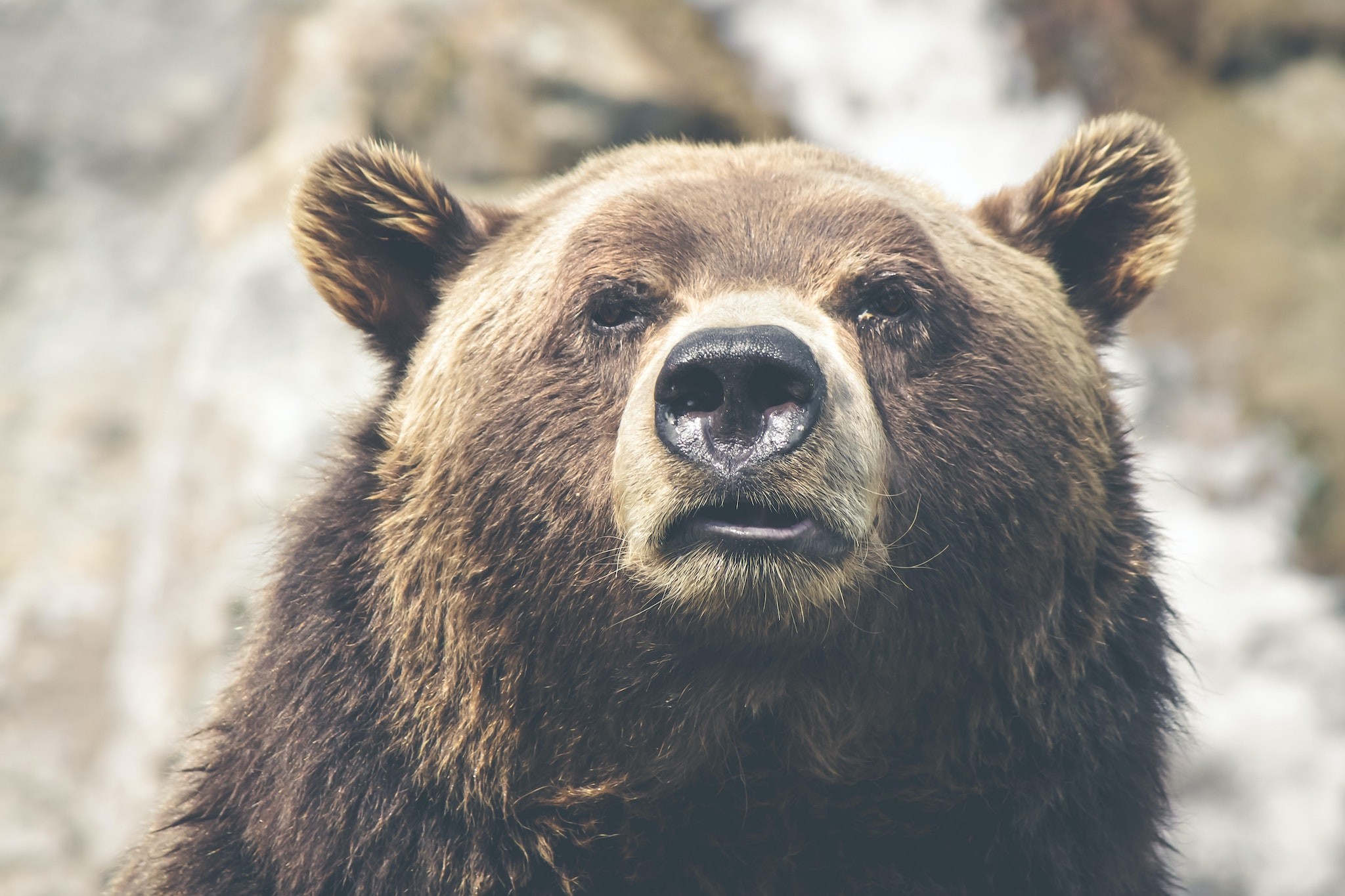 why-a-bear-market-might-be-a-good-thing-for-crypto-investors